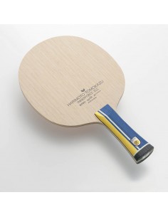 ブリザードSG 209cm JAPAN PRO | Men | Cloud Grey/Brown Storm | Jazda na