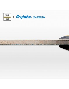 Deska Zhang Jike ALC 2