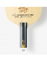 FAN ZHENDONG SUPER ZLC BUTTERFLY