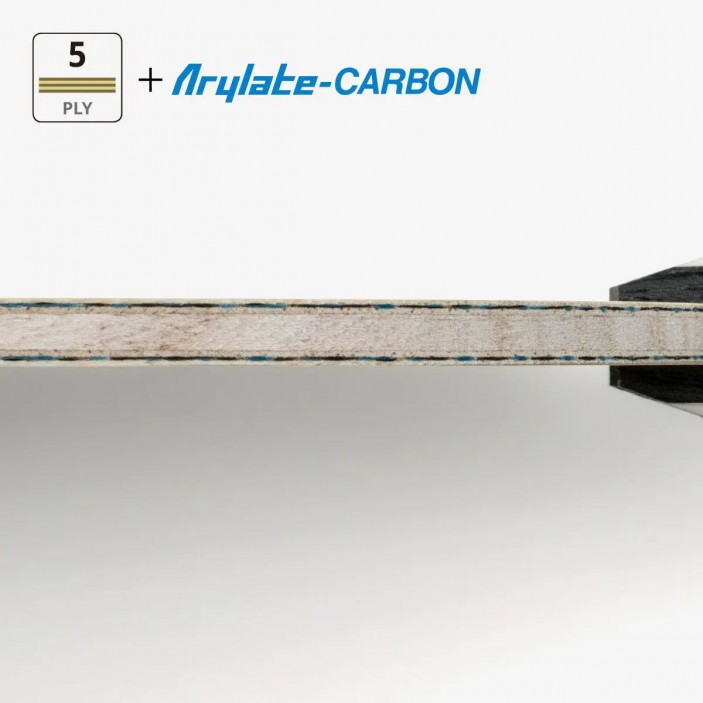 Deska Timo Boll Anniversary ALC