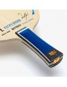 TIMO BOLL ALC BUTTERFLY