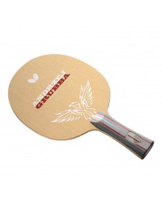 Pierwsza profesjonalna... 2