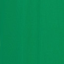 Koszulka Ikoma zielona