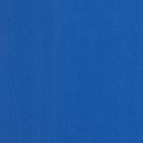 Koszulka Ikoma Kids niebieska