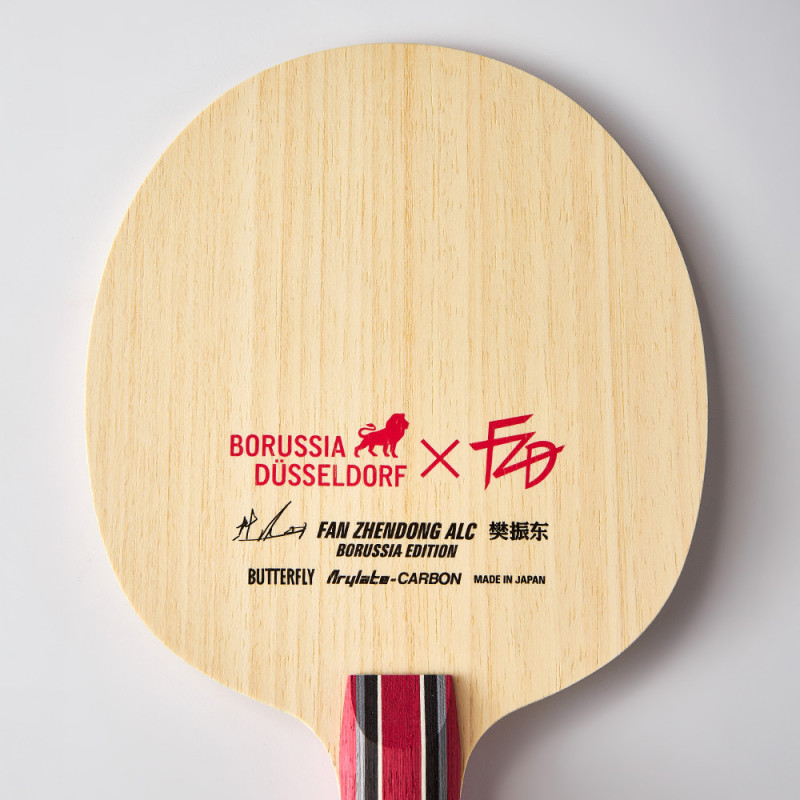 FAN ZHENDONG ALC Borussia