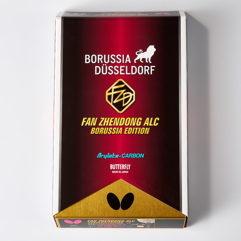 FAN ZHENDONG ALC Borussia