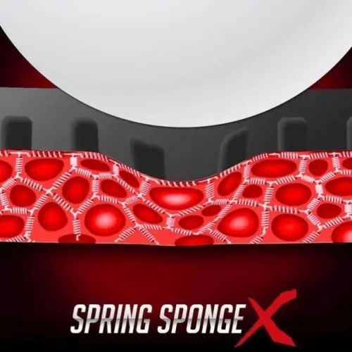 Spring-Sponge-X