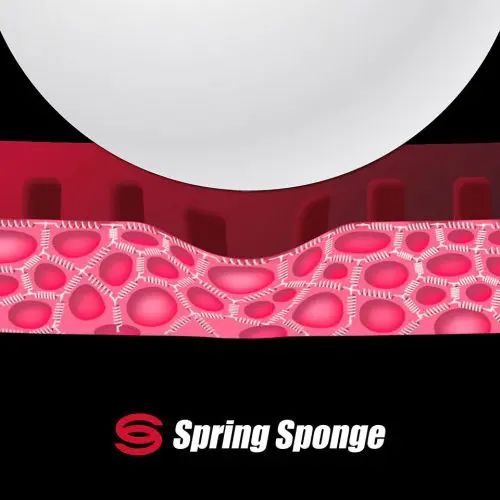 Spring-Sponge