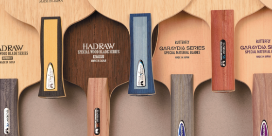 Jak wybrać deskę do tenisa stołowego?